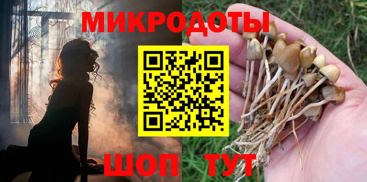 где купить наркоту  Вход с VPN  Сергиев Посад  Псилоцибиновые грибы мицелий 